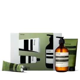 Un flacone ambrato con erogatore e due tubi verdi, di cui uno
                        disteso, sono disposti davanti a una confezione Aesop verde oliva e grigio
                        argento.