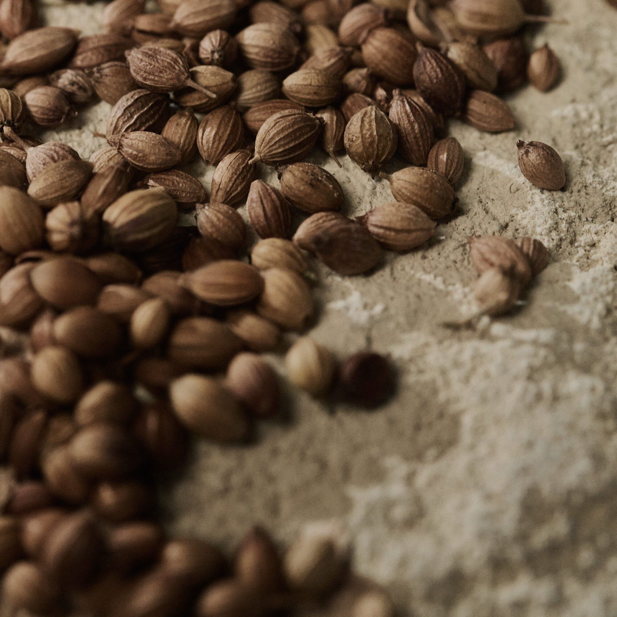 Close-up of coriander seeds scattered across a pale textured surface.