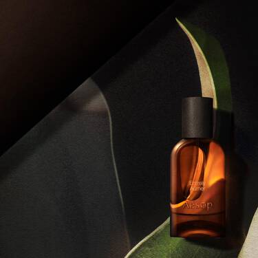Singola bottiglia Aesop in vetro ambrato, illuminata da un caldo bagliore, incorniciata da forme curve simili a foglie nei toni del verde scuro, crema e nero.