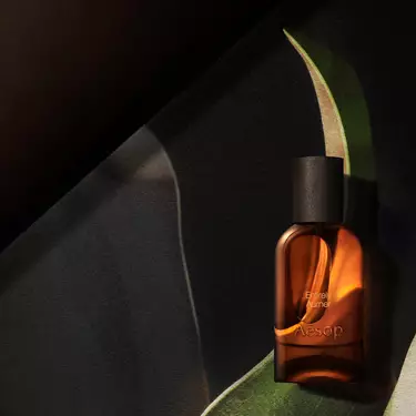 Singola bottiglia Aesop in vetro ambrato, illuminata da un caldo bagliore, incorniciata da forme curve simili a foglie nei toni del verde scuro, crema e nero.