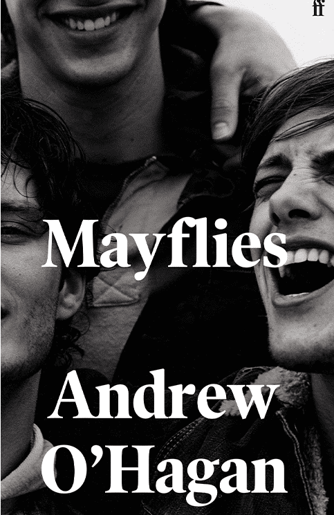 Mayflies Image