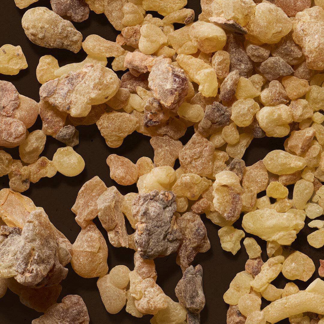 Close-up of pale resin pieces scattered across a dark surface.