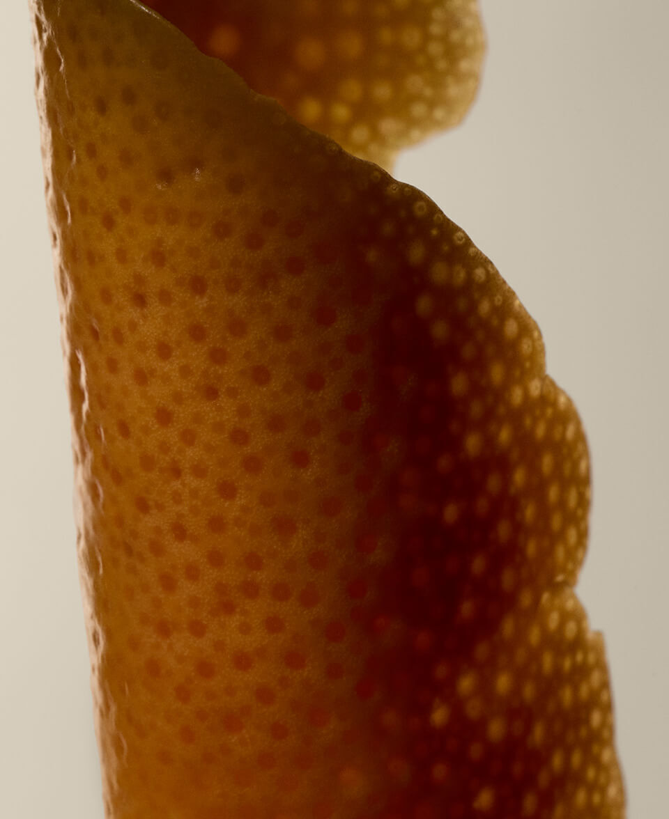 Agrumato, Legnoso, Erbaceo Image
