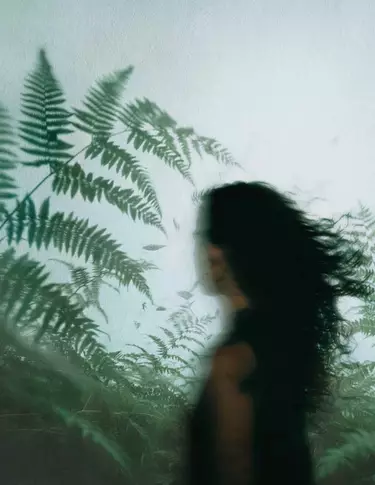 Profilo sfocato di una persona dai capelli scuri tra felci verdi, sullo sfondo di vetro appannato e luce naturale fresca e diffusa.
